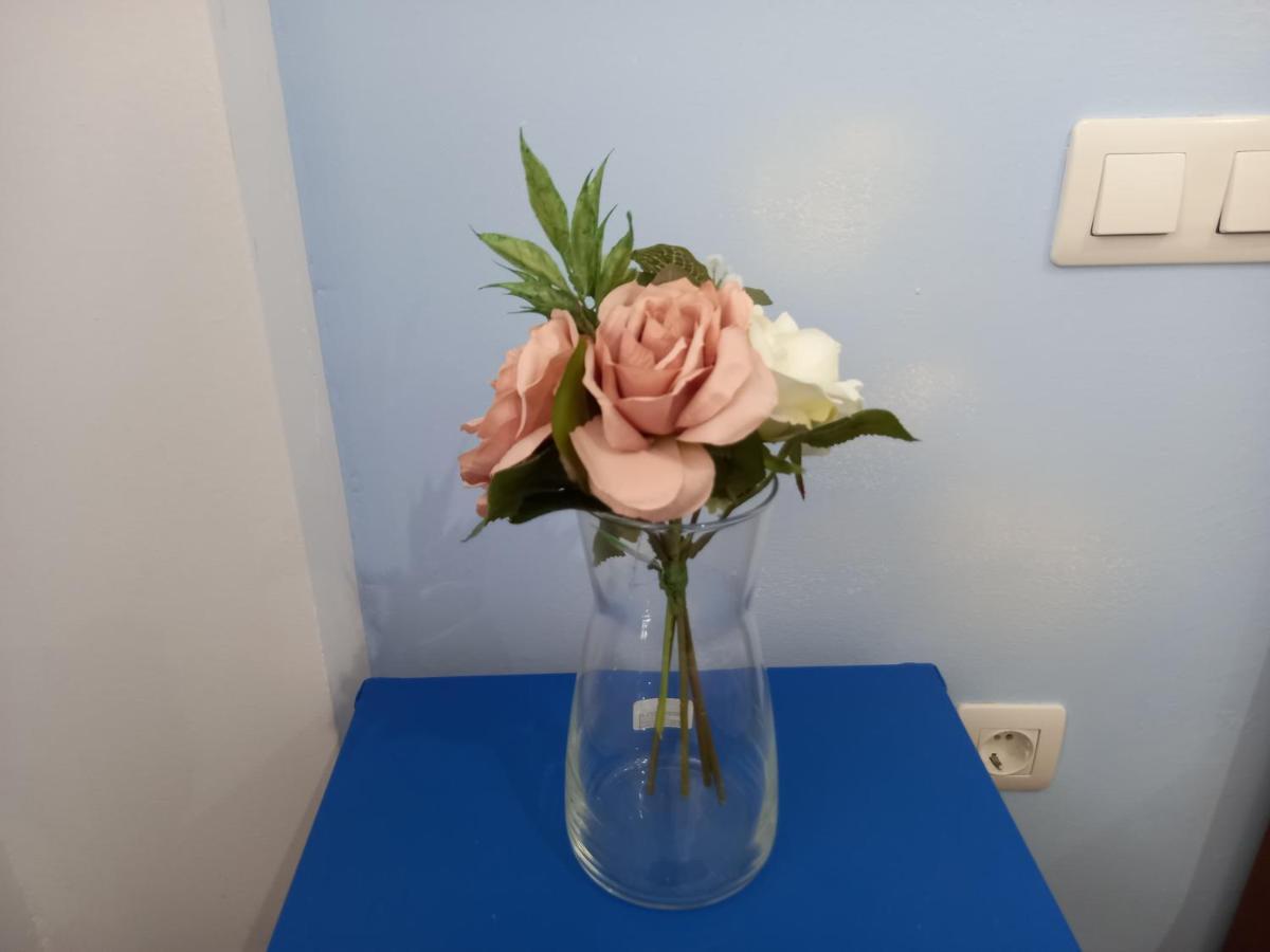 Greenhouse Sardina Zewnętrze zdjęcie